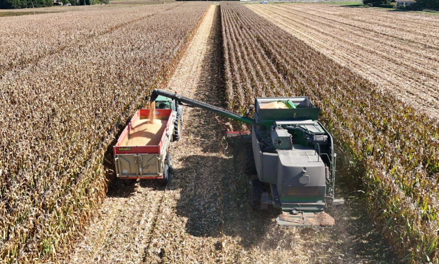 Travaux agricoles Langon