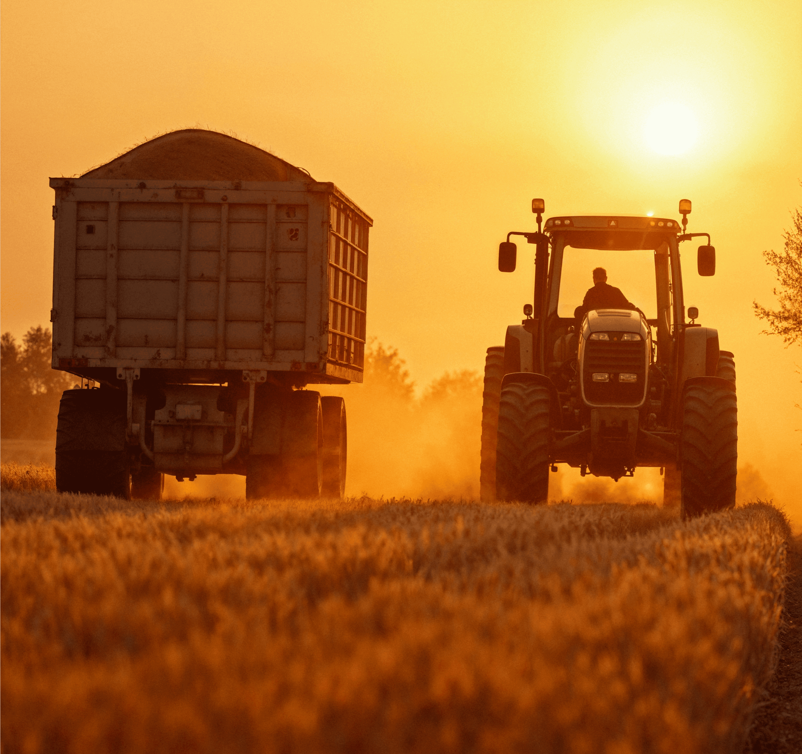 Travaux agricoles Langon